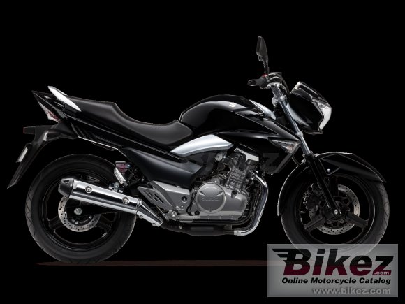 2013 Suzuki GW250 photo